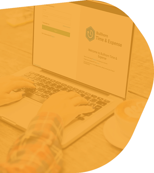 WEbsite-SubHeader-TIMEEXPENSE Tech Staffing Firm